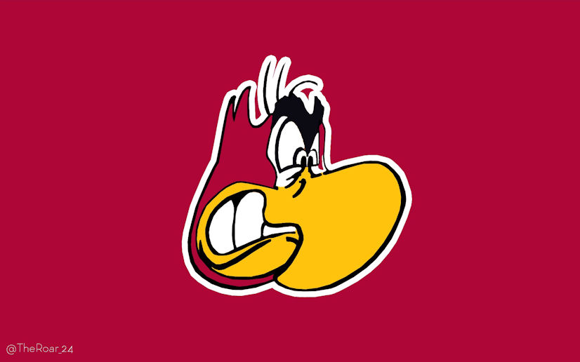 Iago Arizona Cardinals Logo DIY iron on transfer (heat transfer)